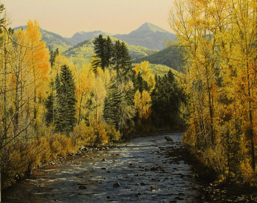 Colorado-Morning