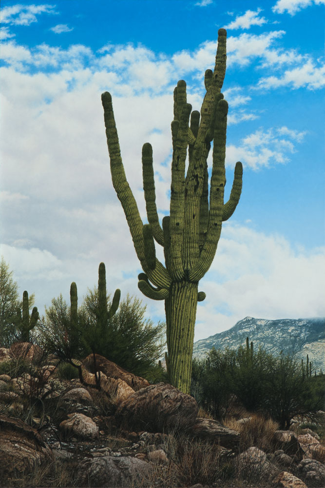 Standing Strong by Denis Milhomme